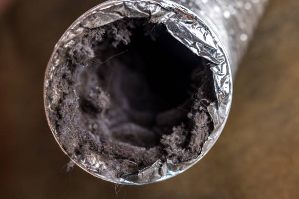 Best Air Duct Cleaning Near Me  in Albany, CA